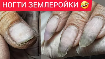 Новый маникюр после дачи | Kalinika_nails | Дзен