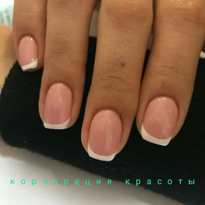 Курсы | AmoreSchool