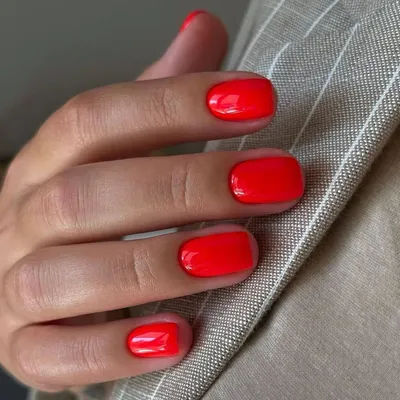 Набор 3D накладных ногтей, темно-красный лак с цветочным дизайном |  AliExpress