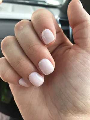 24 шт. короткие круглые накладные ногти Белые коричневые звезды розовые  края полное покрытие съемные накладные ногти для французского маникюра |  AliExpress