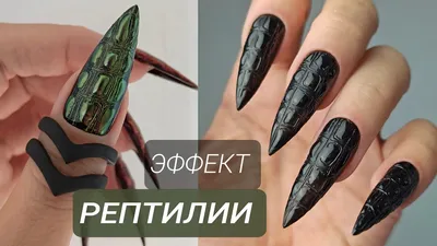 Reptile Nails | Reptile skin, Nails, Nail bar