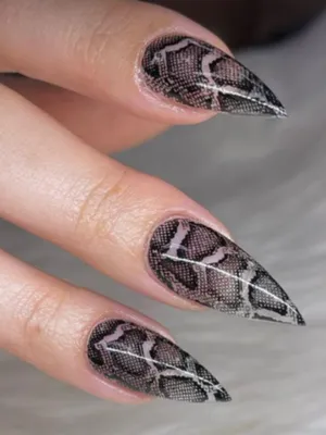 Press on Nails, BLACK REPTILE Scales Nailart, Dark Gothic Aesthetic Claws,  Witch Handmade Glue on Nails, Customized Reusable Halloween Nails - Etsy