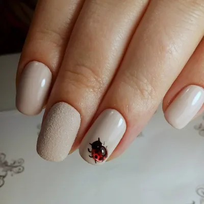 Nail design: French gel with lacquer. French manicure Ladybug - YouTube