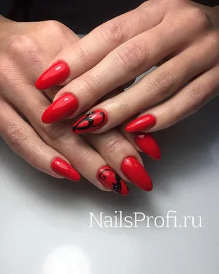 IrisNails on Instagram: “Шикарный котик😺 #nails #nail #маникюр #ногти  #красивыйманикюр #рисунокнаногтях #однотонный #маник #котынаногтях #… |  Nails, Master, Beauty