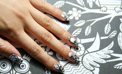 owl manicure nail art design | Дизайнерские ногти, Маникюр с животными,  Дизай ногтей