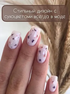 Дизайн с сухоцветами — ван лав💖 #маникюр #nails #manicure #гельлак #ногти  #маникюр2023 маник #педикюр #маникюрдизайн #маникюр2022… | Instagram