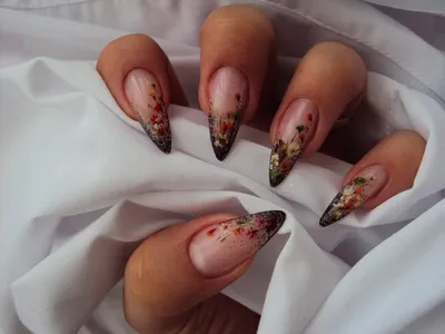 Маникюр / Дизайн с Сухоцветами / Manicure / Design with Dried Flowers /  гель лаки Fiore - YouTube