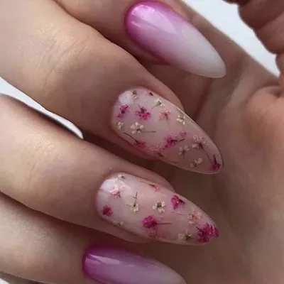 Сухоцветы для маникюра Aliexpress Nail Art Decoration - « Сухоцветы это все  новое ,хорошо забытое старое» | отзывы