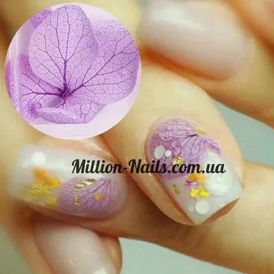 Аквариумный дизайн ГЕЛЬ ЛАКОМ /Milk Bath Nails / Сухоцветы маникюр 2020 /  Дизайн пищевой пленкой - YouTube