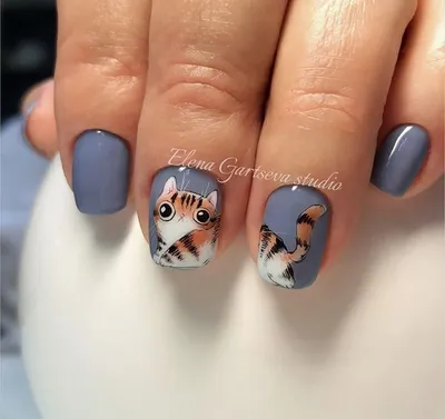 cat nail design | Маникюр с животными, Дизайнерские ногти, Ногти