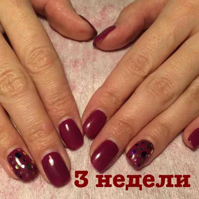 Акция на маникюр - Toffy nails | Студия маникюра в СПб