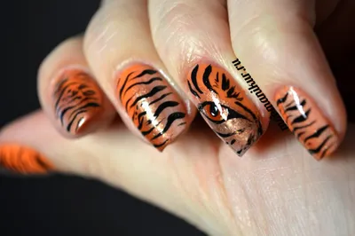 Пленки by provocative nails - Tiger 2022 - купить по выгодной цене |  Stamping _shop