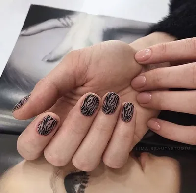 Пленки by provocative nails - Zebra - купить по выгодной цене | Stamping  _shop