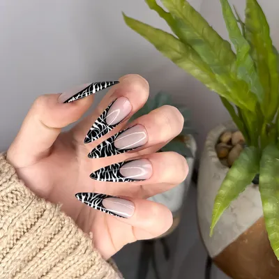 Zebra Print French Manicure Press On False Nails | Creative Nails