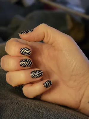 French Zebra False Press On Short style Nails Full Cover Shimmer 24 pcs 💖  | eBay
