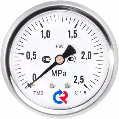 Манометр осевой ТМ-310Т 63 0-1,0 МПа G1/4\" Росма купить в Саранске