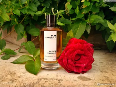 Mancera Roses Vanille - «Очень интересное звучание медовой розы и холодной  ванили.» | отзывы