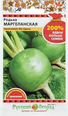 Редька маргеланская