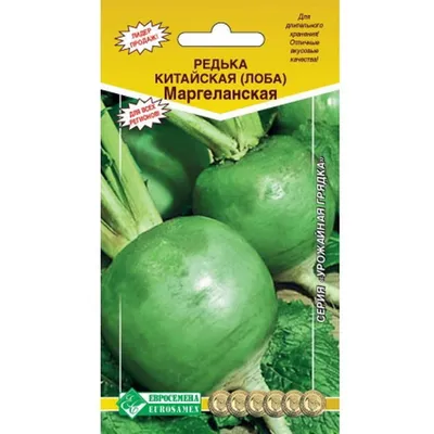 Редька Маргеланская (семена) купить по цене 59 ₽ в интернет-магазине  KazanExpress