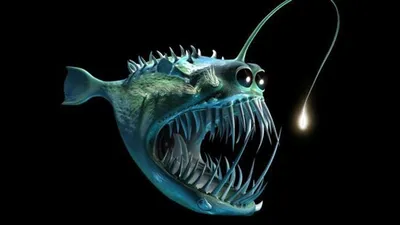beep sea hatchetfish of the Mariana Trench. / марианская впадина :: рыбы ::  подводный мир :: глубина :: фото / смешные картинки и другие приколы:  комиксы, гиф анимация, видео, лучший интеллектуальный юмор.