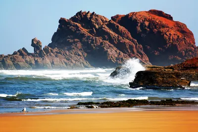 5 пляжей, которые вы обязательно должны посетить в Марокко | Марокканский  национальный офис по туризму