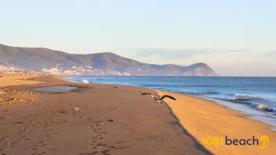 Plage d'Agadir, Агадир: лучшие советы перед посещением - Tripadvisor