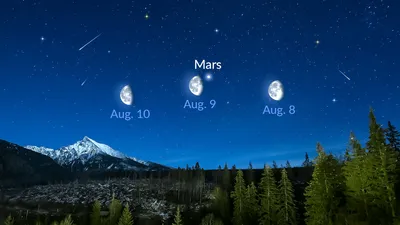 В ночь на 3 октября на небе сойдутся Венера с Регулом и Луна с Марсом:  Общество: Облгазета