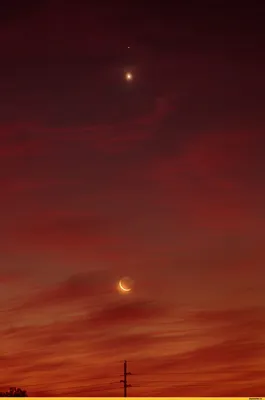 Свердловчане смогут разглядеть на утреннем небе Венеру и Марс: Общество:  Облгазета
