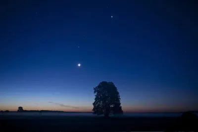 В ночь на 3 октября на небе сойдутся Венера с Регулом и Луна с Марсом:  Общество: Облгазета