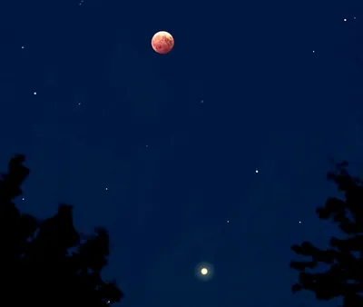 В выходные в небе над Екатеринбургом можно будет увидеть сближение Луны и  Марса - «Уральский рабочий»