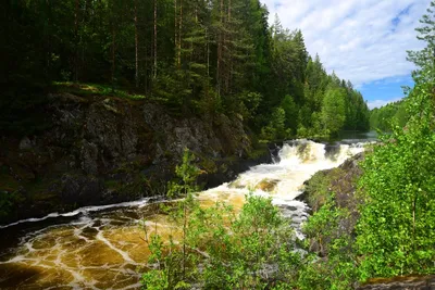 Санаторий Марциальные Воды * (Марциальные воды, Россия), забронировать тур  в отель – цены 2023, отзывы, фото номеров, рейтинг отеля.