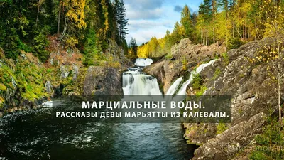 Санаторий \"Марциальные воды\" | Карелия | ВКонтакте