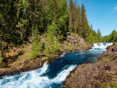 Петрозаводск, Марциальные воды и водопад Кивач за 1 день 🧭 цена экскурсии  2250 руб., 7 отзывов, расписание экскурсий в Петрозаводске