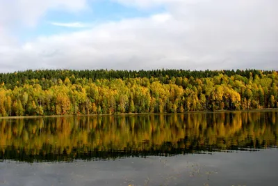 Как \"Марциальные воды\" привлекают туристов в осеннюю Карелию - Российская  газета