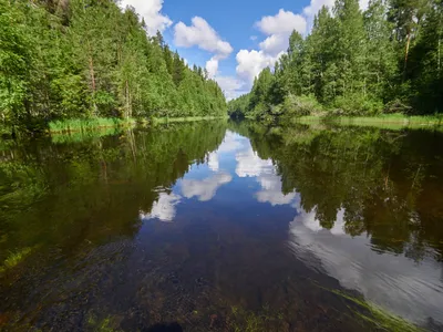 Водопад Кивач индивидуальная экскурсия из Петрозаводска