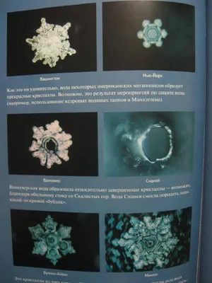 Масару эмото фото кристаллов воды фото