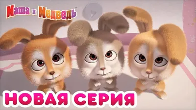 Маша и Медведь - 💥 НОВАЯ СЕРИЯ! 🦜 Остров сокровищ 💎 Коллекция мультиков  для детей про Машу - YouTube