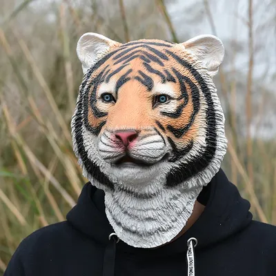 Маска тигра фото фото