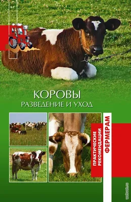 Красно-пёстрая (порода коров) — Википедия