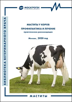 Мастит у коров 🐮 виды мастита/причины возникновения