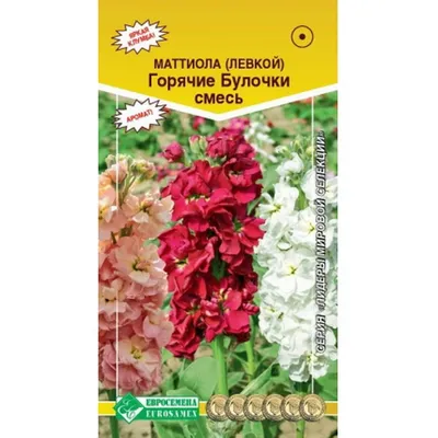 https://sezon-plenki.ru/catalog/semena-tsvetov/mattiola-srezochnaya-makhrovaya-byutiful-parfyum-cherri-blossom-10-sht-2-noy-pak-partner/