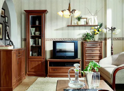 Мебель в гостиную СОНАТА | Гербор Холдинг | купить мебельную стенку