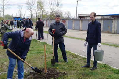 Меч Колесова – на сайте для коллекционеров VIOLITY | Купить в Украине:  Киеве, Харькове, Львове, Одессе, Житомире