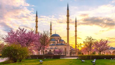 7 фактов о мечети «Сердце Чечни» (ФОТО) - Узнай Россию