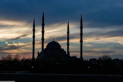 Мечеть Сердце Чечни в городе Грозный в солнечный день фотография Stock |  Adobe Stock