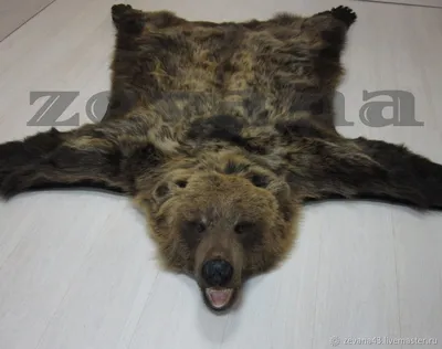 Медведь Без Шкуры - 50 фото