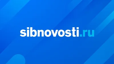 Якутский рыбак решил позаимствовать шкуру у мертвого белого медведя, а  получил уголовное дело - KP.RU