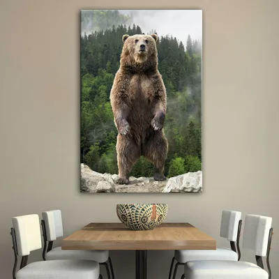 Бурый Медведь Гризли Нести - Бесплатное фото на Pixabay - Pixabay