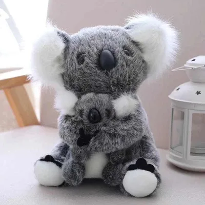 Крупным планом фото серый медведь коала · Бесплатные стоковые фото