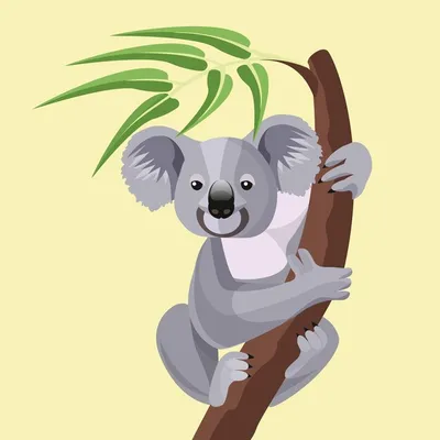 Интересные факты про коал | MartaS197 | Дзен